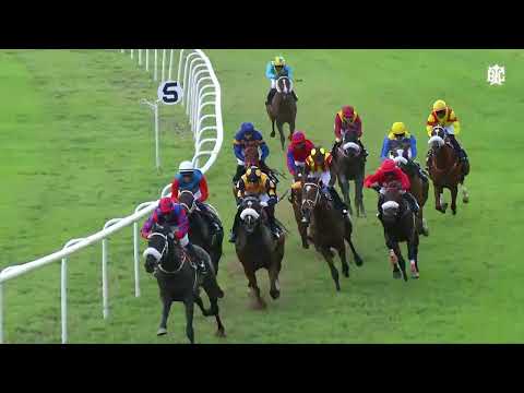 ARTEMIS IGNACIA | The Prince Khartoum Plate