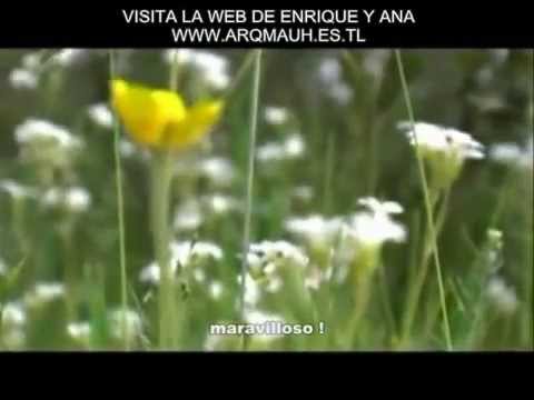 65- ENRIQUE Y ANA - ESTO ES AMOR