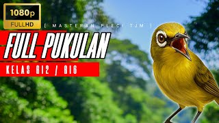Download lagu 🔴 LIVE Masteran Pleci Pukulan Di Kelas G12 / G16 mp3
