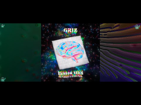 Rainbow Brain - GRiZ, ProbCause, Chrishira Perrier - Music Visualization - Trippy - 4K