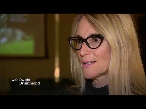 CBC News Toronto - April 29, 2019 [6pm]