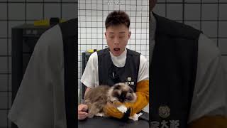 Os Gatinhos Adoram esse Homem 😻❤️