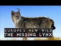 The Missing Lynx Europe S New Wild Animal Planet In Hindi Discovery