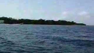 preview picture of video 'Kayak en La Cienaga de Ocumare de la Costa (Parte 1)'