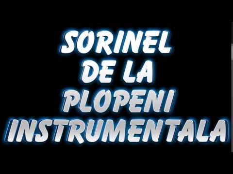SORINEL DE LA PLOPENI    INSTRUMENTALA MANEA CRIMINALA SUPER DE DANS
