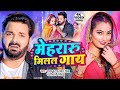 Video मेहरारू मिलल गाय Pawan Singh Mehraru Milal Gaay Shivani Singh New 