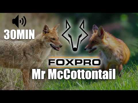 Cottontail Distress Predator Call FOXPRO Mr McCottontail