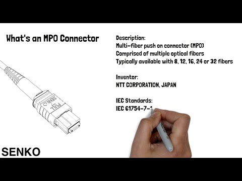 image-What is the MPO responsible for?