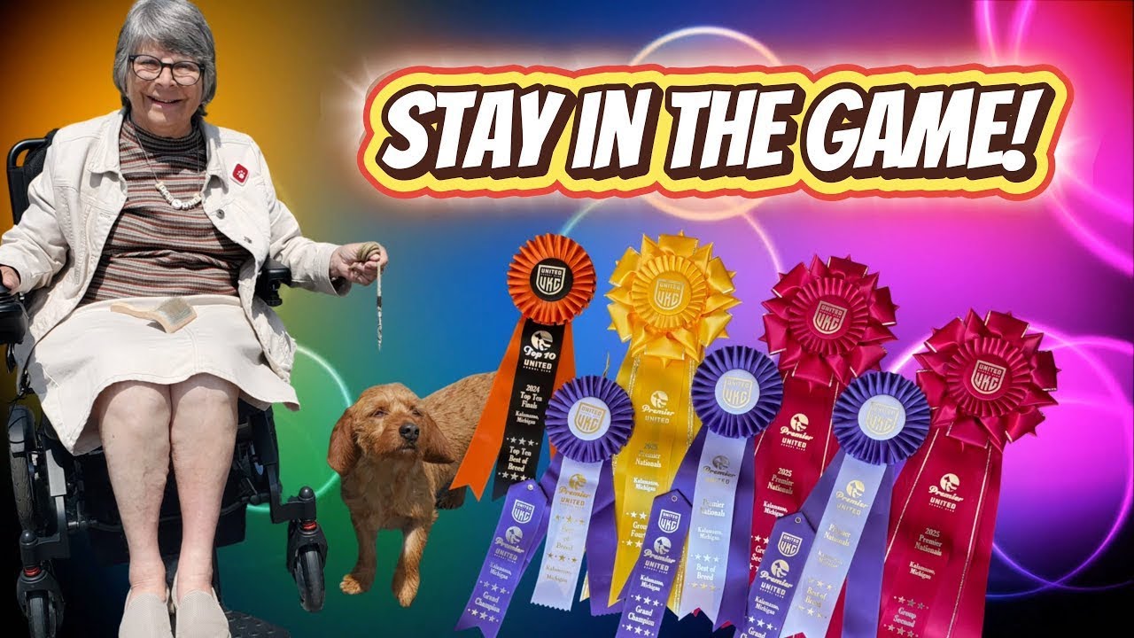 Mobility matters! A story of passion and resilience