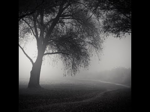 [Type Beat 2021] LILDRUGHILL X LOWLIFE X GONE.FLUDD - FORGET