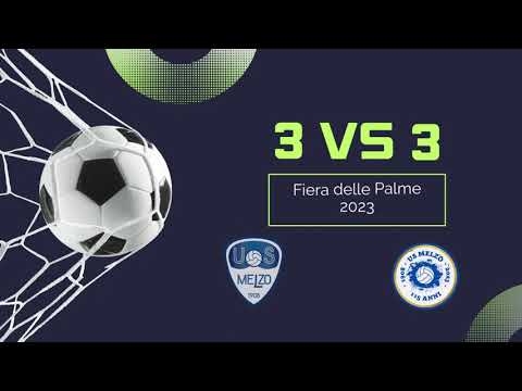 Fiera delle Palme 2023: gabbia tre contro tre