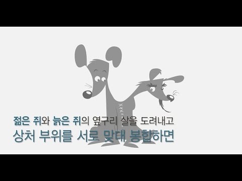 노화를 되돌리는 기술, 개체연결법