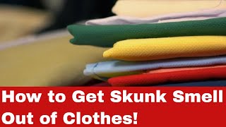 How to Get Skunk Smell Out of Clothes [A Step-by-Step Guide]