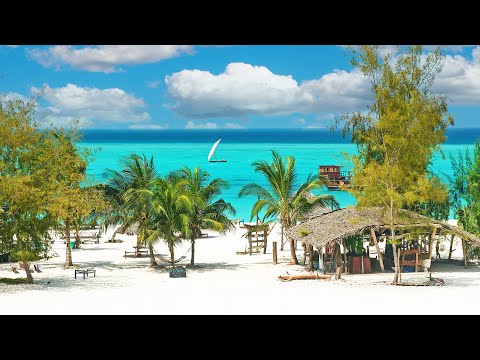 Tropical Beach Bossa Nova & Seaside Jazz Music 2025