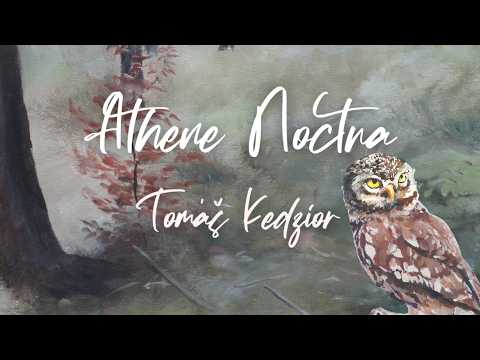 Tomáš Kedzior - baskytara - Tomáš Kedzior - Athene Noctua