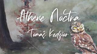 Video Tomáš Kedzior - Athene Noctua