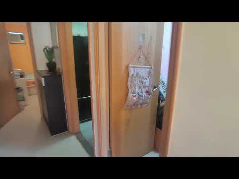 大蓝寮村 Youtube Video