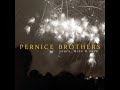 10 ◦ The Pernice Brothers - The Weakest Shade Of Blue   (Demo Length Version)