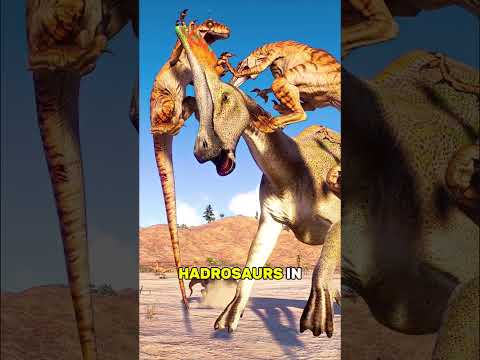 Top 5 Dinosaur Fights Caught in Fossils!
