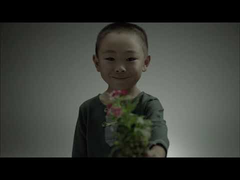 四つ葉のクローバー
