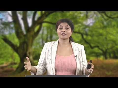 Lecture 44: EIA Methods - Noise #swayamprabha #ch28sp