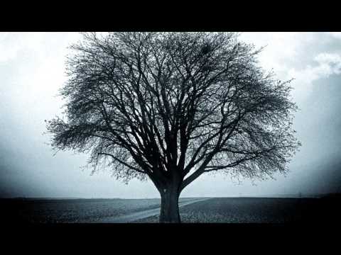 A Leafless Tree (Sad Piano Impromptu)