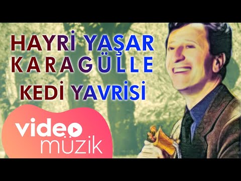 Hayri Yaşar Karagülle - Kedi Yavrisi #karadenizşarkıları  #horon