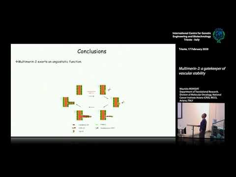 M. Mongiat - Multimerin-2: a gatekeeper of vascular stability