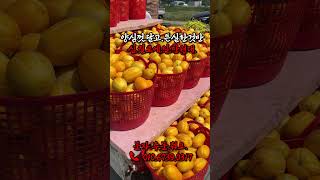 Download lagu 성주참외.10킬로에.1만원대.에.드릴게요. mp3