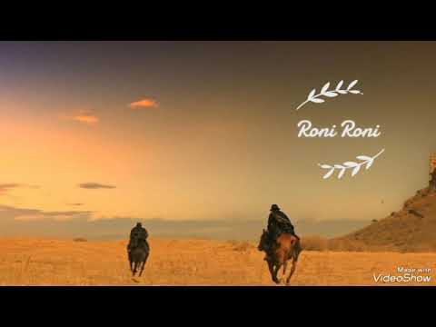 Grup Özgürlük | Yol