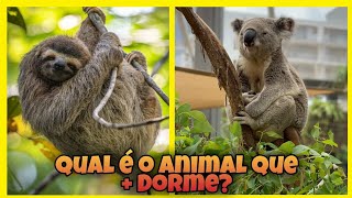 Esse ANIMAL dormi até 22 HORAS POR DIA.