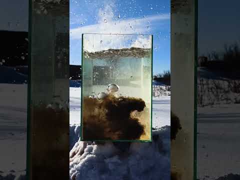 bomb underwater #shorts #bomb #underwater #slowmotion