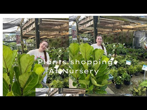 What I brought from the Nursery 