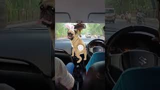 Download lagu 199 mp3