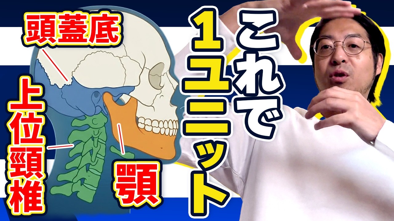 【首が戻る原因】頭蓋底を見ない施術の限界