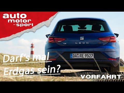 Seat Leon TGI (2019): Der bessere Benziner? – Vorfahrt | auto motor und sport