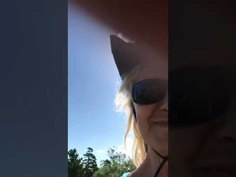 Castillo Pittamiglio  Maldonado