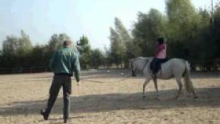 preview picture of video 'Montando a caballo en el Uckermark. Potzlow. Brandemburg. Alemania'