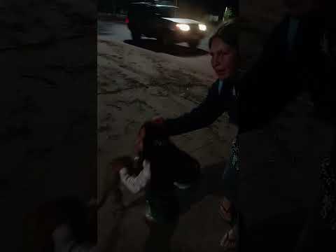 TARIJA:EL FELINO MÁS BELLO Y TIERNO QUE CONOCIMOS EN VILLA MONTES 🥹🔥 #viral #yuotubeshorts #family