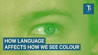 How Language Changes The Way We See Color