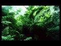 SDDS Underwater Jungle Volcano 35mm HD