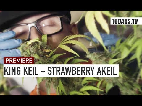 King Keil - Strawberry AKeil (prod. by hundertmarkbeatz) |  16BARS.TV Videopremiere