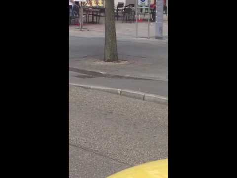 Обложка видео
