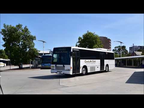 Good Az Gold TV 8146 (ex-BT 518): Volvo B10M Mk 4 (ZF/A-D Metroliner)