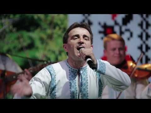 Sergiu Teleba și Nicolae Gribincea - Măi Ioane, Ionele