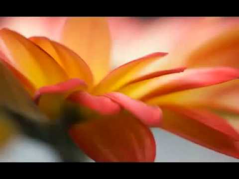 Iubirea (Corinteni 13:1) recitat de Marcel Iures