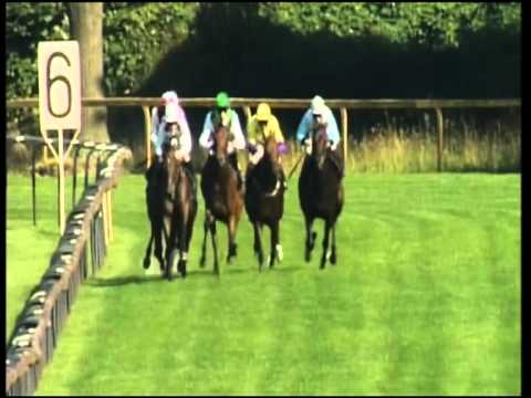 Bremen, Walther J.Jacobs-Stutenpreis, 19.8.2012 - Siegerin: Emboss