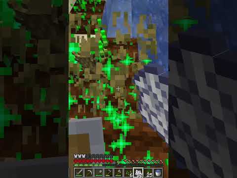 EPIC Aurora's EXPANDING Minecraft Border?!