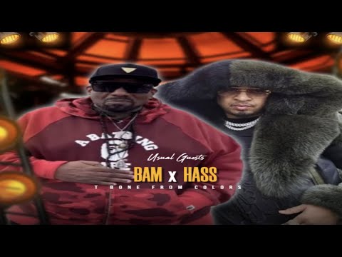 HASSAN CAMPBELL AND DJ AKADEMIKS OFF THE RECORD PART 2.