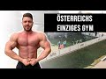 Ich trainiere im EINZIGEN GYM Österreichs und tapeziere meine Wohnung!